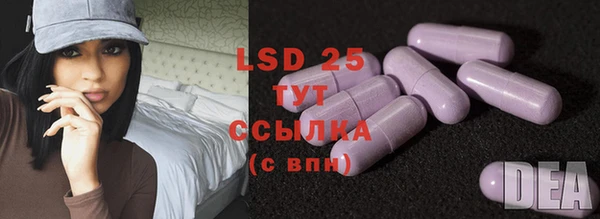 PSILOCYBIN Баксан