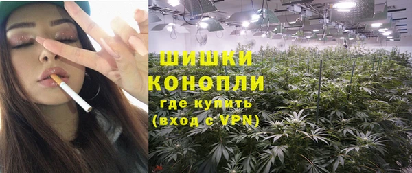 PSILOCYBIN Баксан