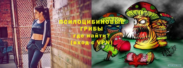 PSILOCYBIN Баксан