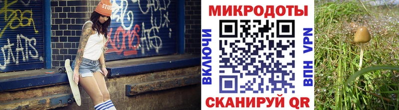 Псилоцибиновые грибы прущие грибы  Коломна 