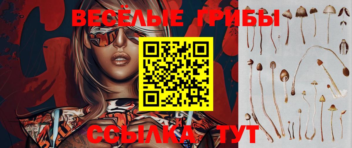 Псилоцибиновые грибы ЛСД Коломна